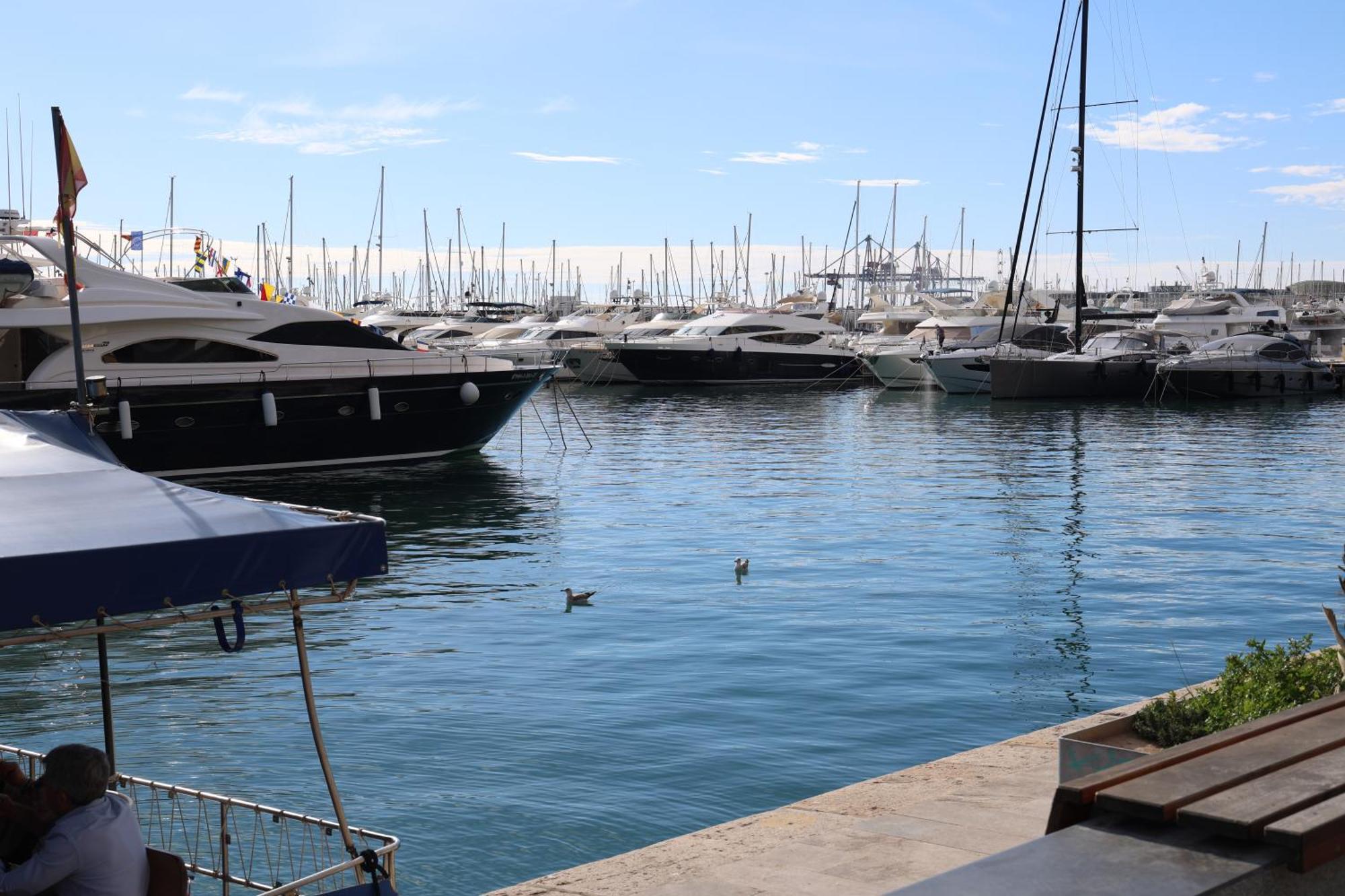 Alicantan Vital Experience Alicante Exterior foto